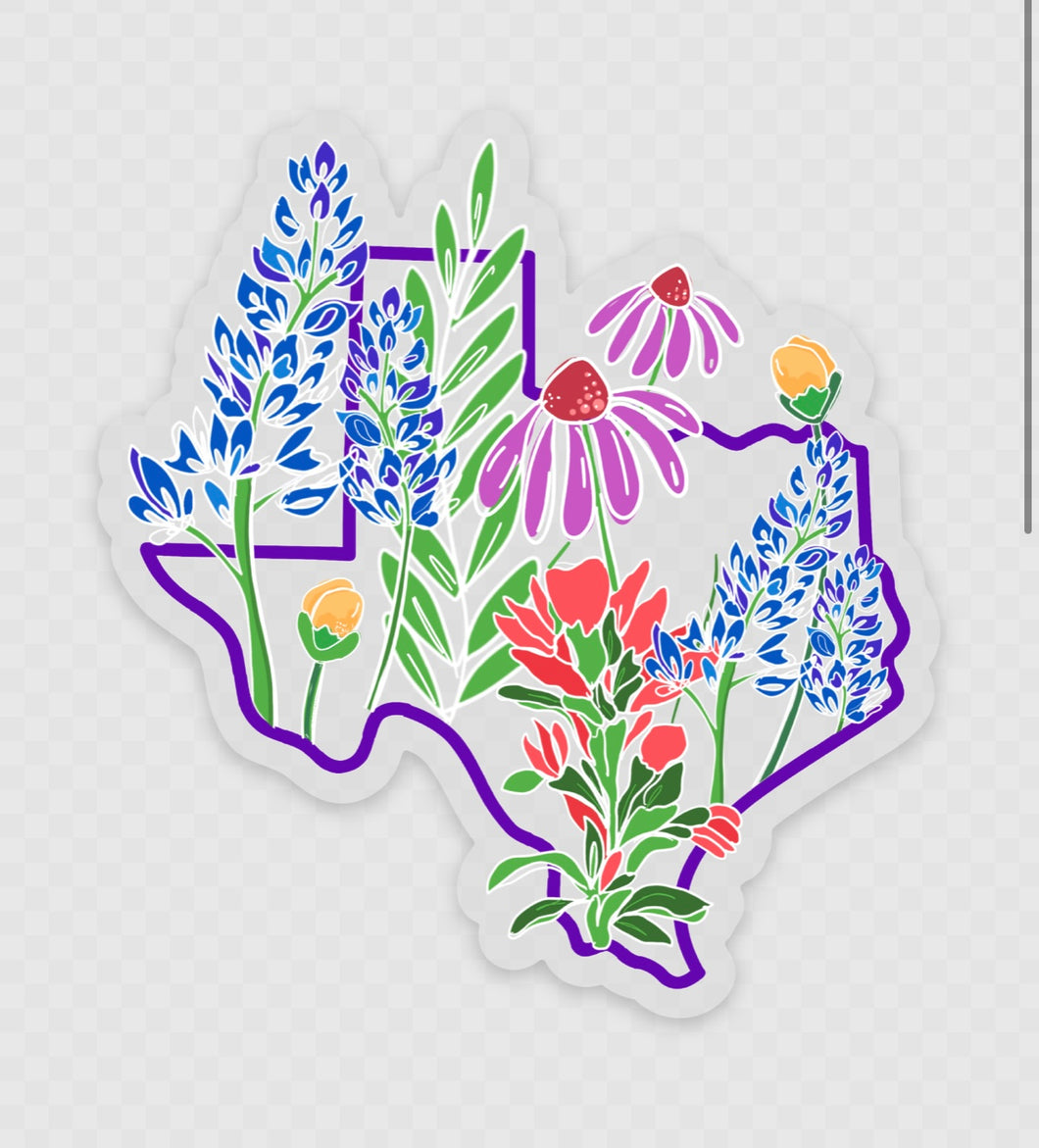 Texas Wildflowers