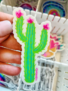 Single Cacti